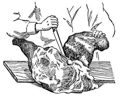 Carcasele de tăiere și dezosare - prelegere - prelucrarea primară a cărnii și a produselor din carne