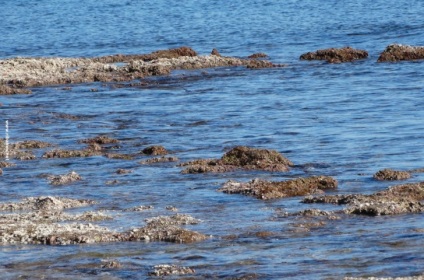 Pescuitul în locurile de pescuit din Chuvashia