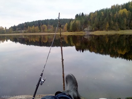 Pescuitul în sketurile Ladoga, zâmbetul lui Rybkin - rapoarte despre pescuit, fotografii din pescuit, tehnici de pescuit