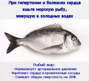 Uleiul de pește în hipertensiune arterială - proprietăți, instrucțiuni și recenzii