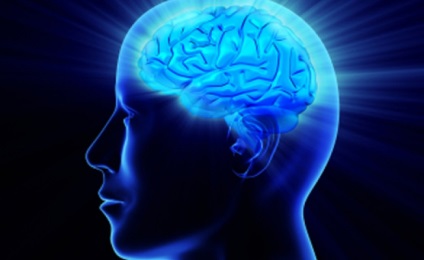 Rolul psihologiei în studiul minții, minții și creierului, vitaportal - sănătate și medicină