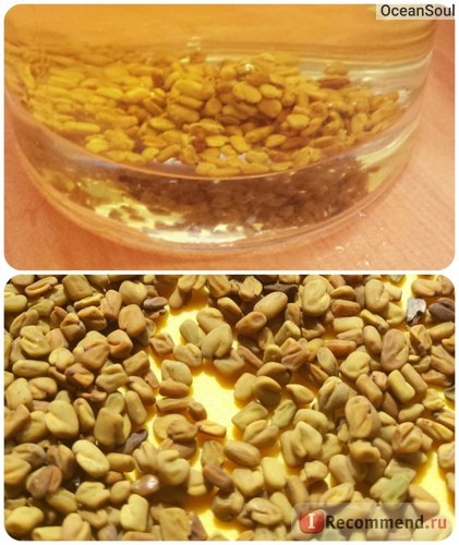 Semințe industria alimentară sănătoasă fenugreek fân, helba, shamballa, chaman, fenugreek - 