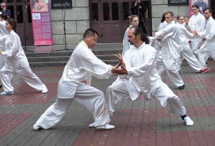 Shaolin, Udine și direcțiile emeyskoe, un site despre sănătate și arte marțiale