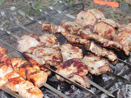 Shish kebab, cum să păstrați carnea în natură - shashlik - rețete - vacanță de casă