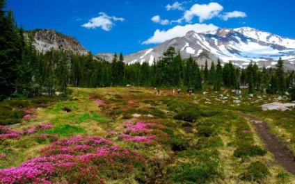 Shasta, California Facilități de munte și fotografii