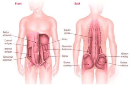 Planul de formare sistem