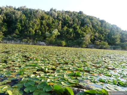 Skadar Lake, un sfat de la o marșadă turistică