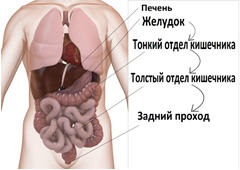 Scopia procedurii intestinale, indicații, contraindicații și complicații