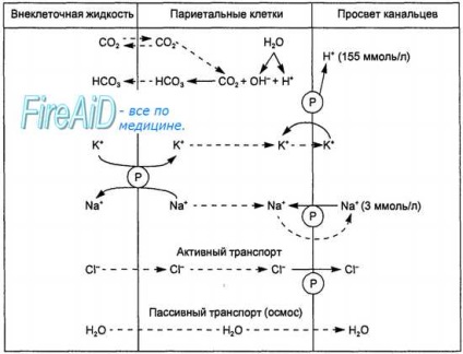 Acid clorhidric