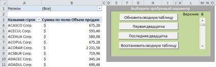 Crearea unei interfețe de utilizator pentru macrocomenzi utilizând formularele, tabele sumare Excel 2010