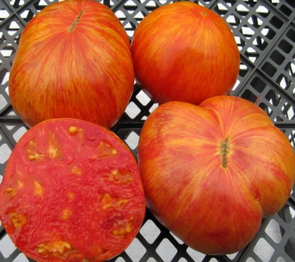 Tomato - regele descrierii frumuseții soiului, caracteristicile fructelor, materiale foto, recomandări pentru