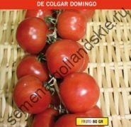 Tomato - margloob - (marglobe) 10 semințe