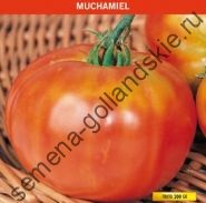 Tomato - margloob - (marglobe) 10 semințe