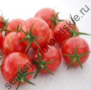 Tomato - margloob - (marglobe) 10 semințe