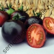 Tomato - margloob - (marglobe) 10 semințe