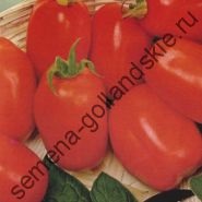 Tomato - margloob - (marglobe) 10 semințe