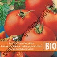 Tomato - margloob - (marglobe) 10 semințe