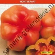 Tomato - margloob - (marglobe) 10 semințe