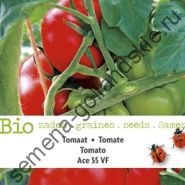 Tomato - margloob - (marglobe) 10 semințe