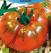 Tomato - margloob - (marglobe) 10 semințe