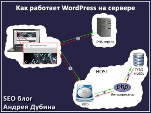 Cerințe privind găzduirea și modul de configurare a modulelor PHP pentru site-ul de pe wordpress, blogul seo blog andrey club