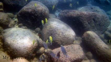 Trincomalee (tricomalee) sri-lanka - ismertetők, fotós strandok