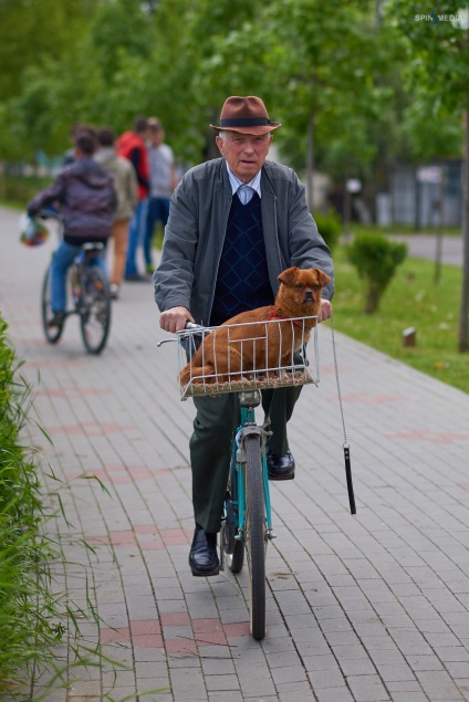 Paharul de unire a păstrăvului - stereotipurile de dezmembrare