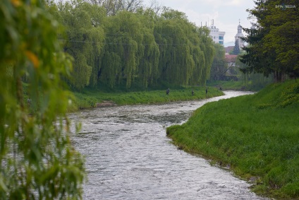 Paharul de unire a păstrăvului - stereotipurile dezmembrate