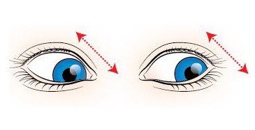 Gyakorlatok a rövidlátókörű szemekhez, a szempályák torna és a gimnasztika a szemhez myopia (a