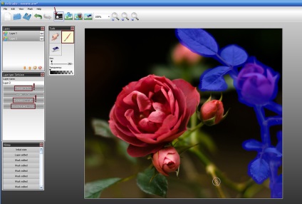 Lecție de animație - flori vii - în colțul programului - un artstudio photoshop