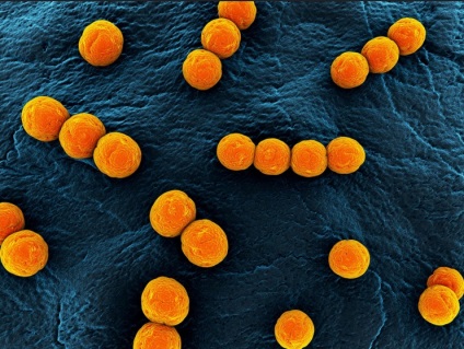 Un medicament asemănător cu virusul oprește bacteriile, o umbrelă de blog, un contor
