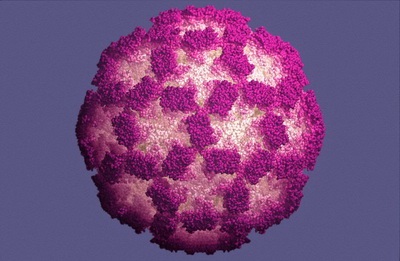 Medicamentul asemănător virusului oprește bacteriile, știința și viața