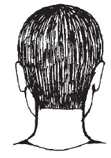 Coafura capului, împărțirea în zone, linia marginală de creștere a părului - priceperea coaforului