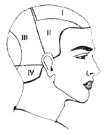 A fejfedő, a zónákra osztás, a haj növekedésének peremvonalai - a fodrászok készsége