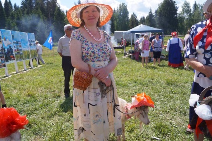 A Perm régióban szépségverseny volt a kecskék között