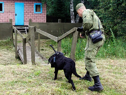 Robbanjon fel, és ne veszélyeztesse, hogy a modern fejlesztéseket az orosz sappers használta