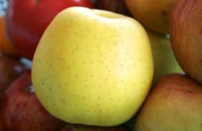 Apple Tree Golden delishas Descrierea varietății, cultivarea și îngrijirea