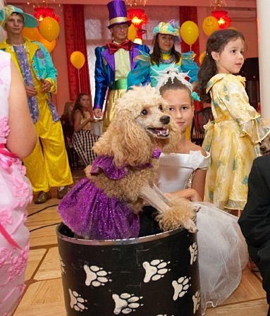 Comandați un spectacol de animale instruite la o vacanță pentru copii în Moscova și în regiunea Moscovei