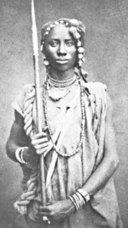 15 Fapte despre Dahomey Amazoane