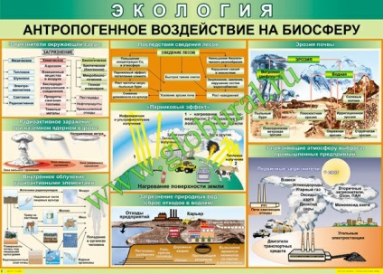 Влиянието на човека върху природата