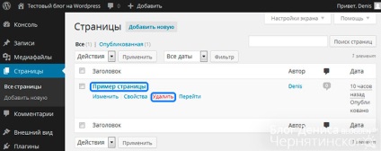 Setările de bază ale blogului pe wordpress