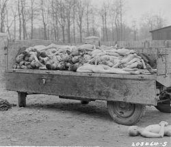 Buchenwald (tabăra de concentrare) este