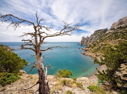 Royal Beach Cove, noul zander de lumină