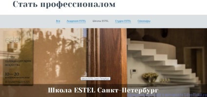 Site-ul oficial Estel