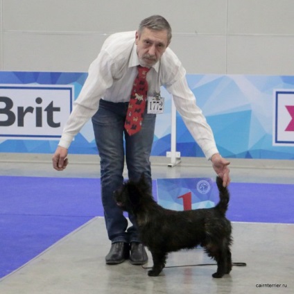 Eurasia 2017, Core Terrier din Casa lui Elix