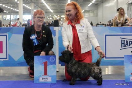 Eurasia 2017, Core terrier de la Casa lui Elix