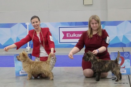 Eurasia 2017, Core Terrier din Casa lui Elix