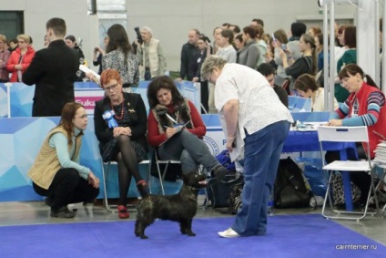 Eurasia 2017, Core Terrier az Elix házából