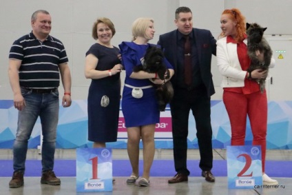 Eurasia 2017, Core Terrier din Casa lui Elix