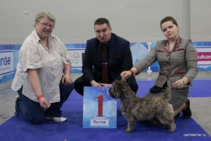 Eurasia 2017, Core Terrier din Casa lui Elix